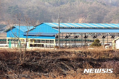 충북 보은 젖소농장 구제역 확진. 사진은 충북 보은군 소재 젖소 사육 농장. /사진=뉴시스