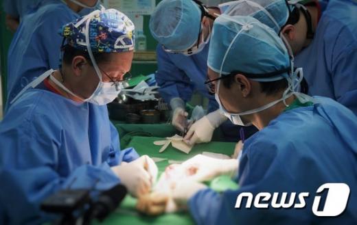이식 수술 환자. W병원, 영남대병원 등 의료진 25명이 팔 이식 수술을 진행하고 있다. /사진=뉴스1(W병원 제공)