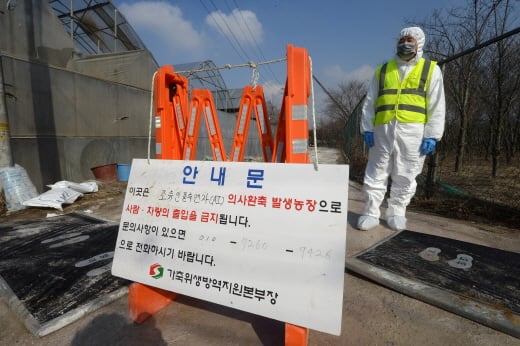 4일 경기도 고양시 관산동에 위치한 토종닭 사육농가에서 AI 의심신고가 접수돼 관계자가 주변을 통제하고 있다. /사진=뉴스1 DB