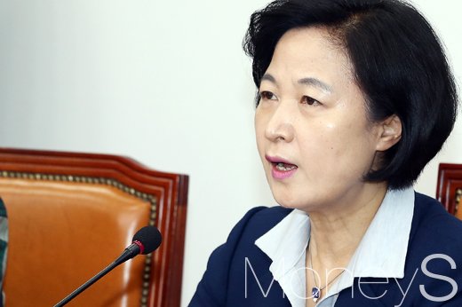 대선 때 개헌 투표. 사진은 추미애 민주당 대표. /사진=임한별 기자