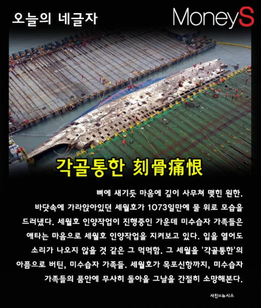 3년 만에 떠오른 세월호. 미수습자 가족. 진상조사위 구성. 각골통한