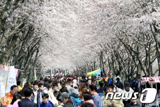 날씨 주간예보. 청명. 한식. /자료사진=뉴스1