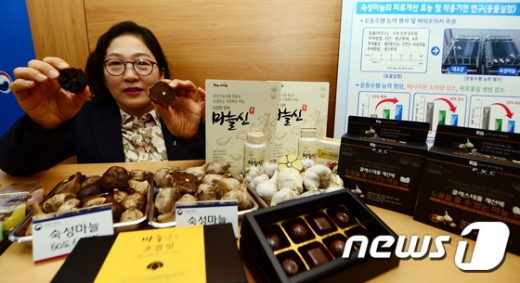 숙성마늘 피로 회복. 김행란 농촌진흥청 국립농업과학원 농식품자원부장이 4일 정부세종청사 농림축산식품부 기자실에서 '봄철 피로 마늘로 이겨내자' 브리핑을 하고 있다. /사진=뉴스1