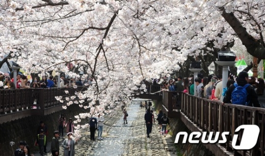여좌천 추락. 진해 여좌천 추락. 2일 경남 창원시 진해구 여좌천 로망스다리. /사진=뉴스1