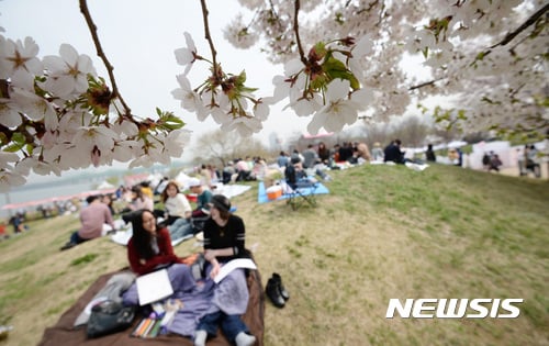 벚꽃축제.8일 서울 여의도 63빌딩 앞 한강공원에서 '라이프플러스(Lifeplus) 벚꽃피크닉페스트벌 2017'이 열리고 있다./사진=뉴시스