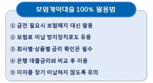 보험계약대출 100% 활용법/자료=금융감독원