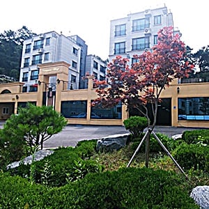 평택 미군렌탈하우스 각광받는 '고급주택형 강남빌리지'