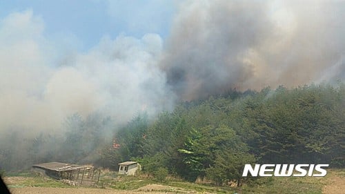 봉화 산불. 오늘(19일) 낮 12시 26분쯤 경북 봉화군 석포면 석포리 인근 야산에서 산불이 발생해 연기가 피어오르고 있다. /사진=뉴시스