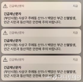 백양산 산불. /사진=머니투데이, 트위터 발췌