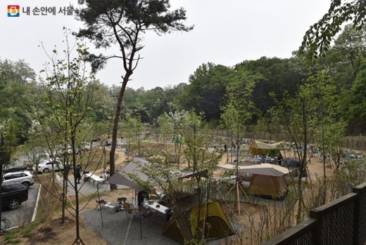 초안산 캠핑장 6월1일 오픈. /사진=서울시 제공