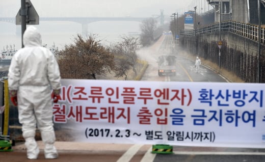 지난 2일 제주에 이어 3일에도 전북 간산에서 AI 의심 신고가 접수됐다. /사진=뉴시스 DB @머니S MNB, 식품 유통 · 프랜차이즈 외식 & 유망 창업아이템의 모든 것