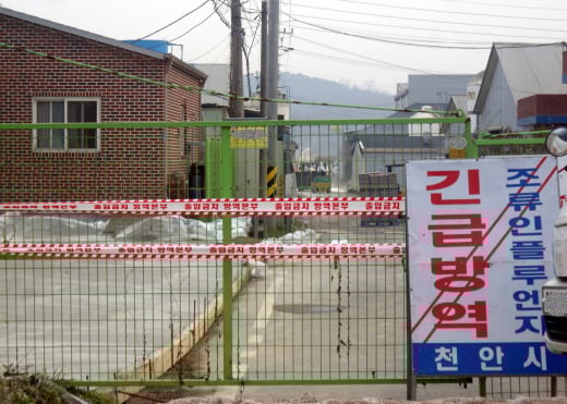 군산의 한 오골계 농가에서 AI 의심신고가 접수돼 간이진단 결과 양성 반응이 나왔다. /사진=뉴시스 DB @머니S MNB, 식품 유통 · 프랜차이즈 외식 & 유망 창업아이템의 모든 것