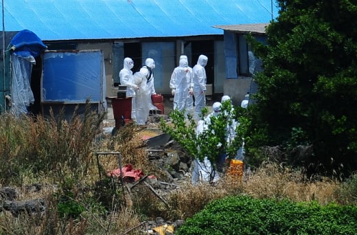 제주시 애월읍 한 농가에서 AI 의심 신고가 접수돼 방역 당국이 해당 농가에 대해 방역조치를 취하고 있다. AI 확진 여부는 늦어도 5일에는 나올 전망이다. /사진=뉴스1 DB @머니S MNB, 식품 유통 · 프랜차이즈 외식 & 유망 창업아이템의 모든 것