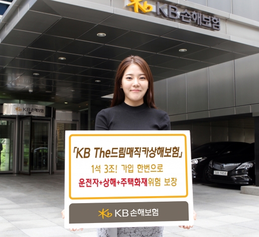 KB손보, 한 상품으로 1석3조 누리는 운전자상해보험 출시