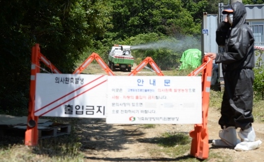 파주의 한 양계농장에서 AI가 창궐해 방역당국이 비상에 걸렸다. /사진=뉴시스