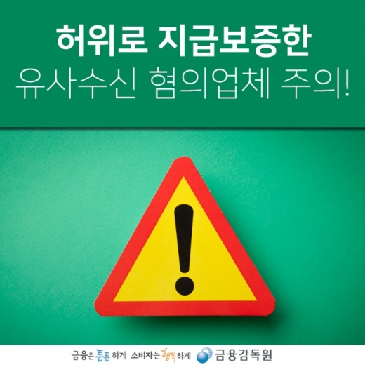 사진=금융감독원