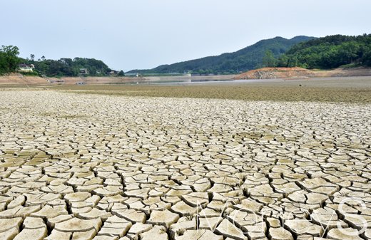 /자료사진=임한별 기자