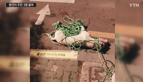 도고아르젠티노. /사진=YTN 캡처