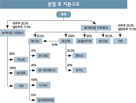 [머니S톡] SK케미칼 지주전환, 호재일까
