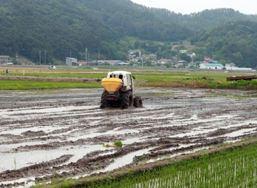 소서. /자료사진=뉴시스