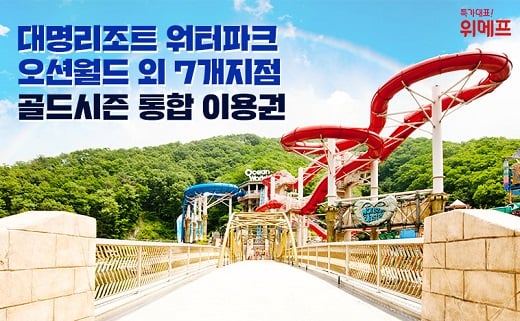 대명리조트 워터파크./사진=위메프 @머니S MNB, 식품 유통 · 프랜차이즈 외식 & 유망 창업 아이템의 모든 것