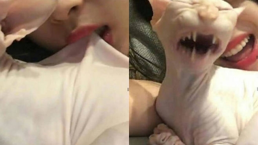 설리, 고양이 깨무는 동영상 '동물학대' 논란… 장어 이어 구설수