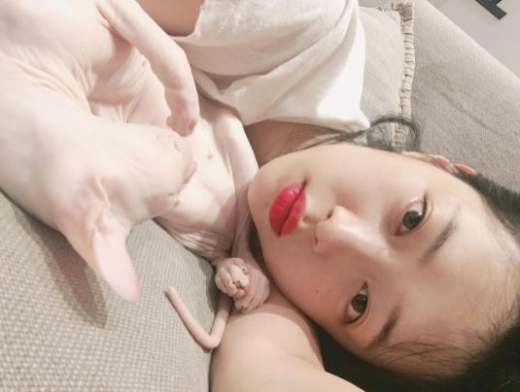 설리, 고양이 깨무는 동영상 '동물학대' 논란… 장어 이어 구설수