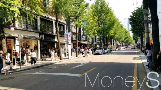 신사동 가로수길. /사진=김창성 기자