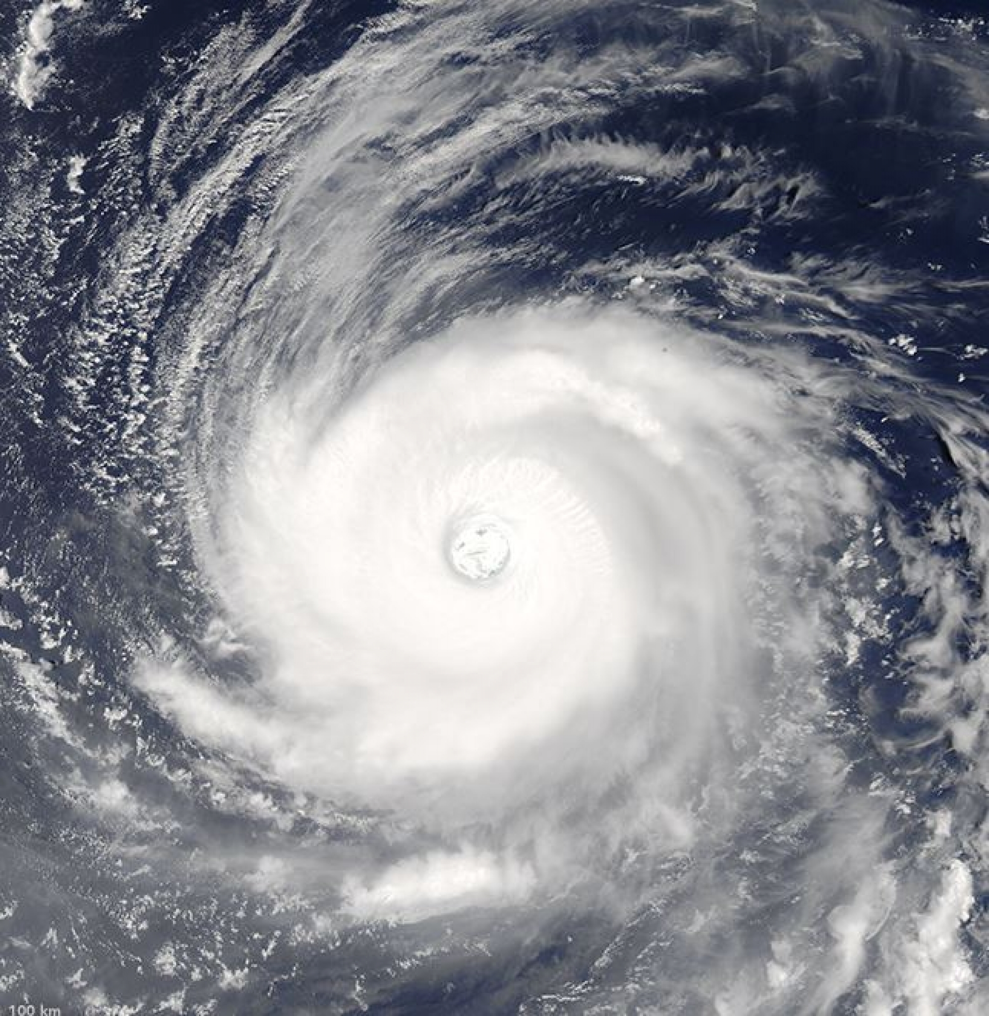 태풍 노루 위성사진. 31일 촬영. /사진=미국 NASA