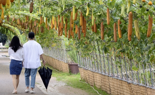 오늘날씨. /사진=뉴시스