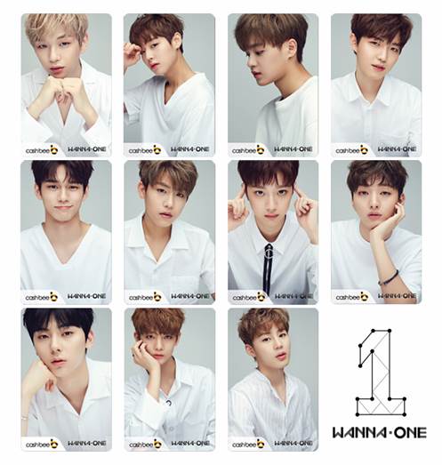 티몬의 ‘워너원’ 공식 MD상품 교통카드 11종. /사진=티몬 @머니S MNB, 식품 유통 · 프랜차이즈 외식 & 유망 창업 아이템의 모든 것