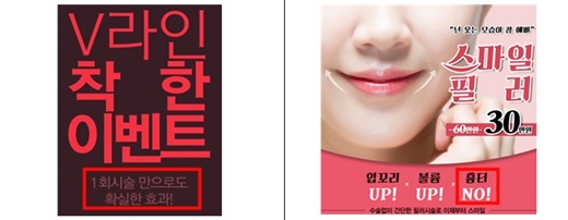 거짓·과장 광고 사례. /사진=보건복지부