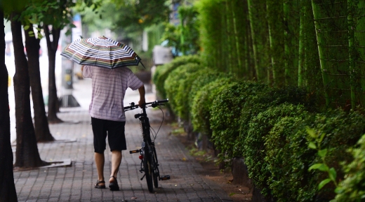 제주 호우경보. /자료사진=뉴시스