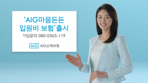AIG손보, 입원비 보장 높인 'AIG마음든든입원비보험' 출시