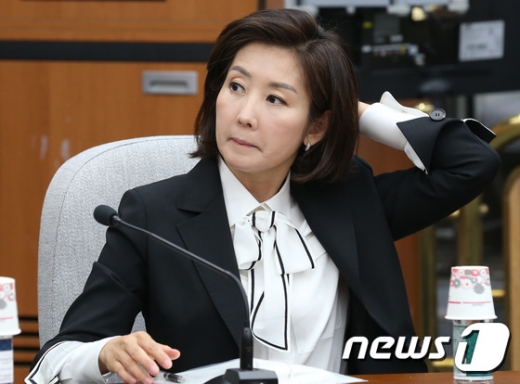 나경원 의원 