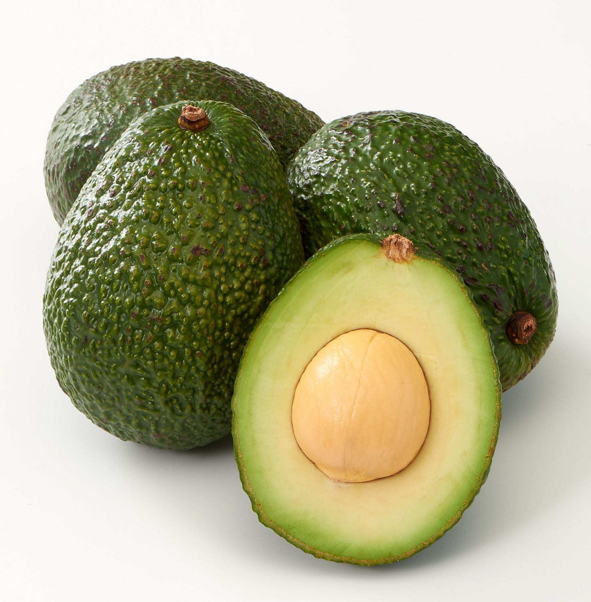 @머니S MNB, 식품 외식 유통 · 프랜차이즈 가맹 & 유망 창업 아이템의 모든 것