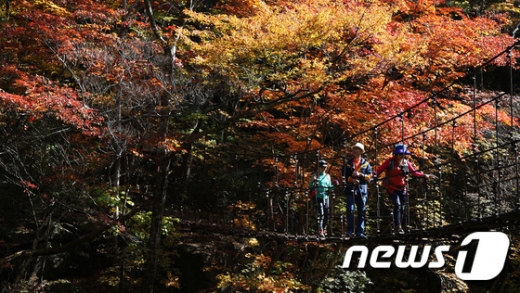 지리산 피아골 단풍. /사진=구례군 제공