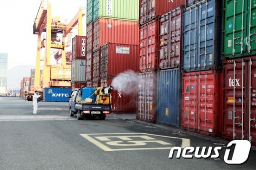 전남 광양항 컨테이너부두 국제터미널E-5구역 31블럭에서 27일 오전 7시 열대불개미 방역 작업이 진행되고 있다. /사진=뉴스1