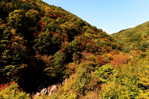 지리산. /사진=뉴시스