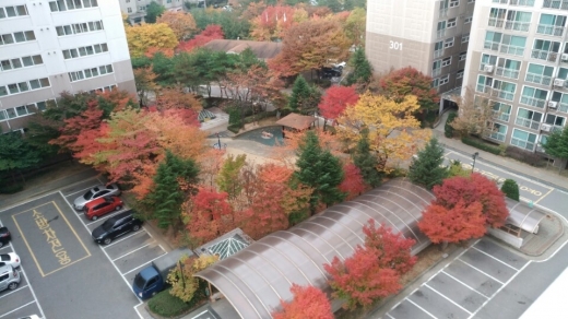 사진=독자 제공