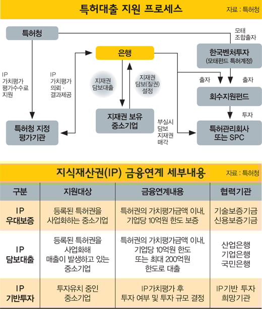 [IP, 돈이 되다] 기술 탄탄하니 대출도 '뚝딱'