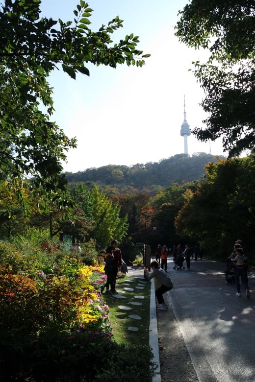 [박정웅의 여행톡] 낙엽 밟히는 그곳… '꿈길'을 걷다