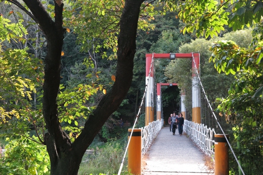 [박정웅의 여행톡] 낙엽 밟히는 그곳… '꿈길'을 걷다