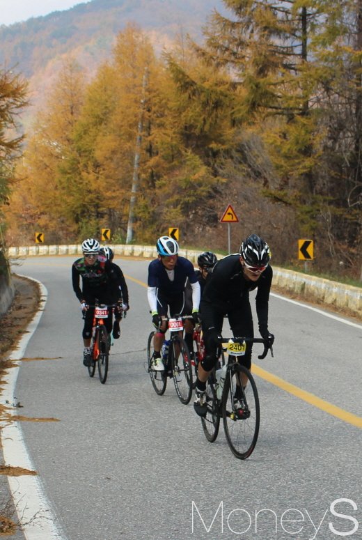 대회 분수령인 저수령(850m)을 힘차게 오르는 선두그룹. /사진=박정웅 기자