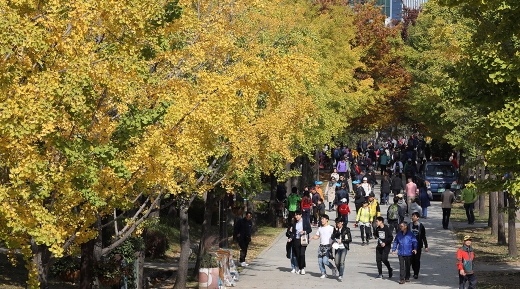 오늘날씨. 서울 성동구 서울숲에 나들이 나온 시민들이 노랗게 물든 공원을 거닐고 있다. /사진=뉴스1