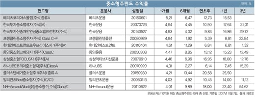 [중소형주 시대] 실적 탄탄 IT주 펀드 '뜬다'