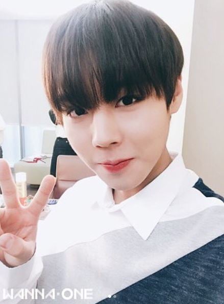 '워너원' 박지훈, 중앙대 연영과 수시 합격… 18학번 새내기 된다