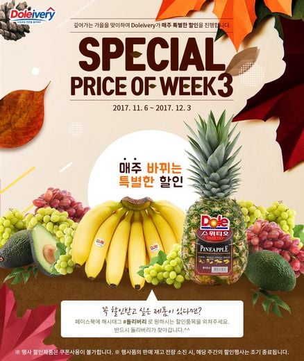 ▲ 제공=돌코리아 @머니S MNB, 식품 외식 유통 · 프랜차이즈 가맹 & 유망 창업 아이템의 모든 것