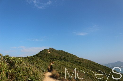 홍콩트레일의 간판격인 드래곤스백 전경. 남중국해 조망이 압권이다. /사진=박정웅 기자