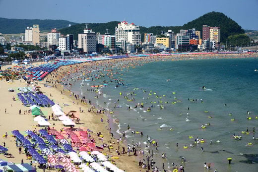 부산 송정해수욕장 전경. /사진제공=해운대구
